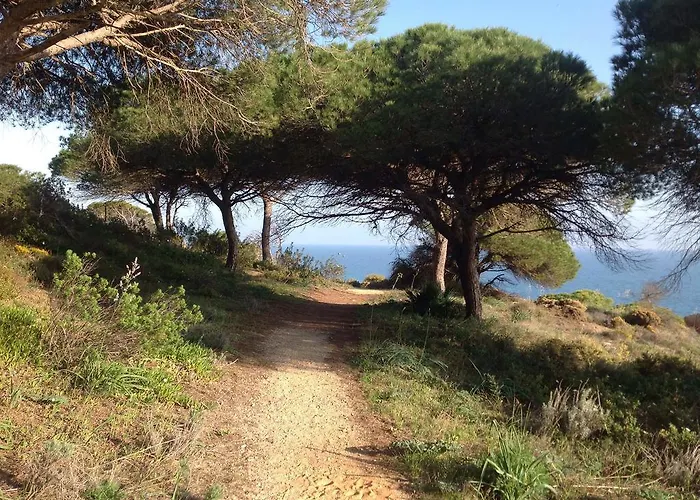 2 Bedroom Falesia Apartment